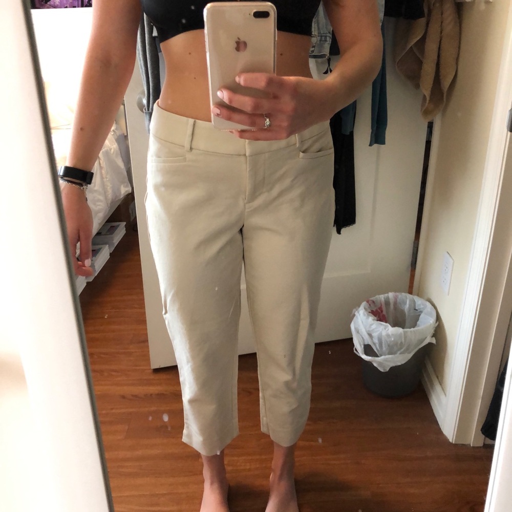 LOFT Rivera Pants in Julie Fit